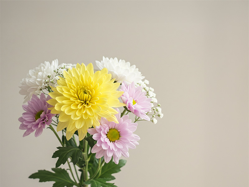Image_fx_013