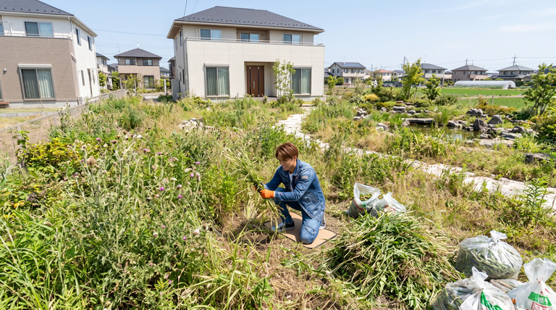 草刈り